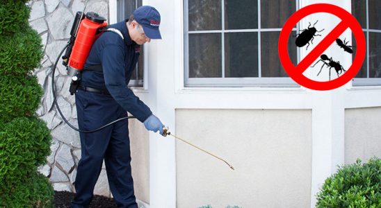 Çayırlı Dezenfeksiyon böcek ilaçlama ve haşere kontrolü — ilaclama-tr.com